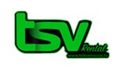 Logo teleservicios